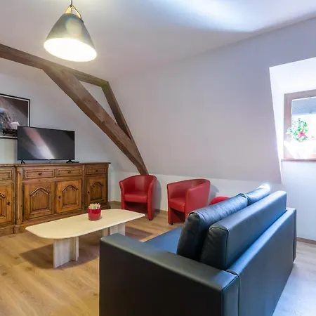 Apartamento Hans Sapidus - Parking Gratuit - Proche Europa-park - Route Des Vins - Haut-koenigsbourg