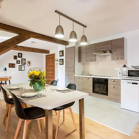 Le Rhenanus Hans Sapidus - Spacieux, Au Calme - Parking Gratuit *