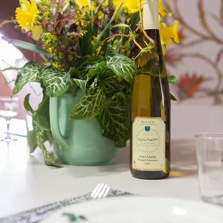 Apartamento Hans Sapidus - Parking Gratuit - Proche Europa-park - Route Des Vins - Haut-koenigsbourg Sélestat