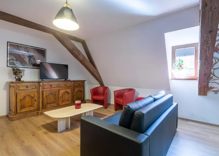 Apartamento Hans Sapidus Sélestat - Parking gratuit - Proche Europa-Park - Route des Vins - Haut-Koenigsbourg