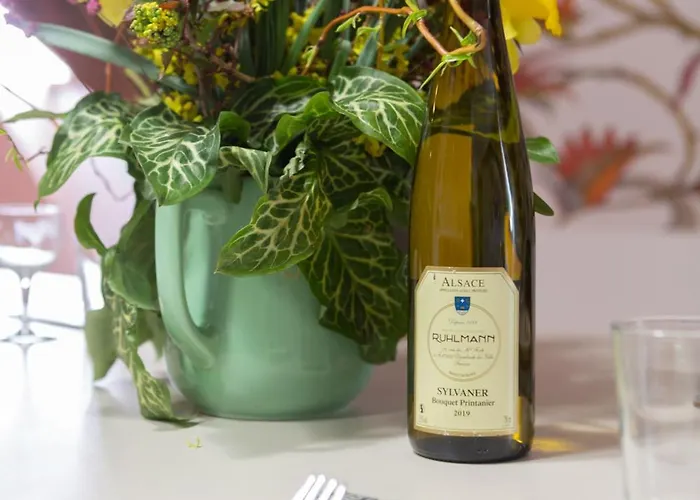 Apartamento Hans Sapidus Sélestat - Parking gratuit - Proche Europa-Park - Route des Vins - Haut-Koenigsbourg Sélestat