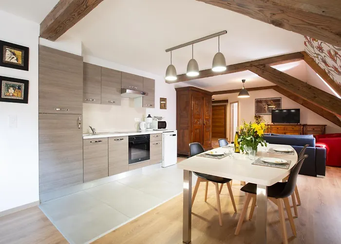 Apartamento Hans Sapidus Sélestat - Parking gratuit - Proche Europa-Park - Route des Vins - Haut-Koenigsbourg Sélestat